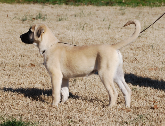 markie another at 12 weeks